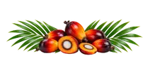 tyu